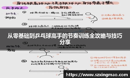 从零基础到乒乓球高手的节奏训练全攻略与技巧分享