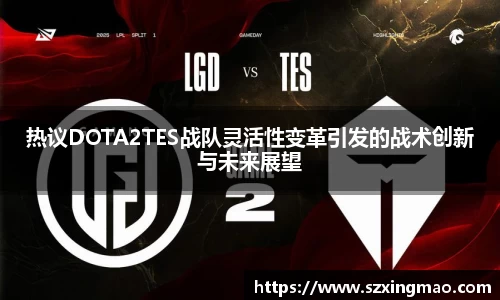 热议DOTA2TES战队灵活性变革引发的战术创新与未来展望