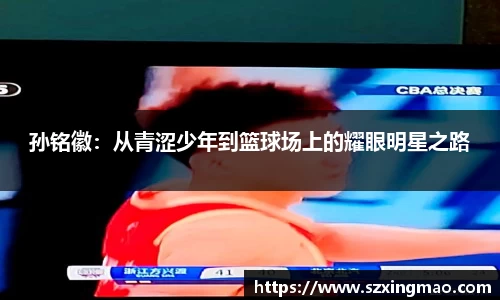 江南体育官方网站