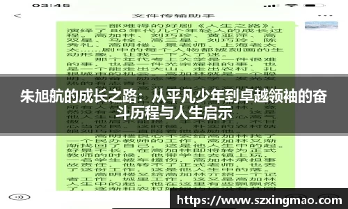 JN体育